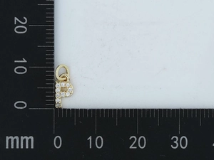 Macro del ciondolo a lettera P dorato con zirconi e scala graduata da 10mm