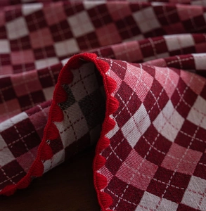 Detailed view of red and white checkered tablecloth with delicate scalloped embroidery