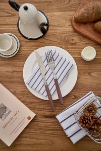 Detail of vintage stainless steel cutlery set with dark wood handle on a checkered napkin