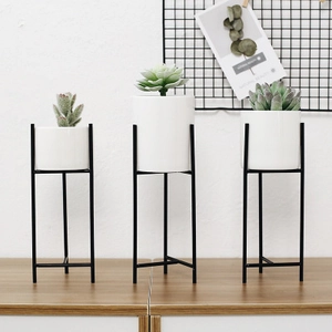 Set di supporti per piante nordici in ferro con vasi in ceramica bianca e succulente