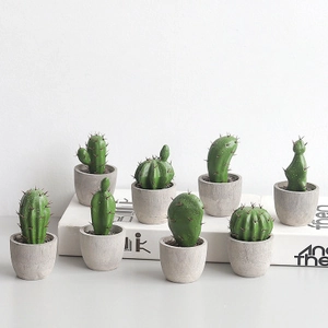 Set of 8 Nordic style artificial cactus and succulent plants in minimalist gray pots