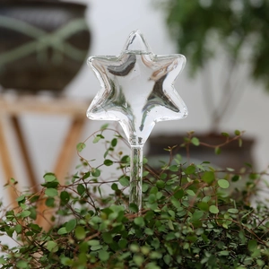Star-shaped glass automatic plant watering globe inserted in green indoor potted plants