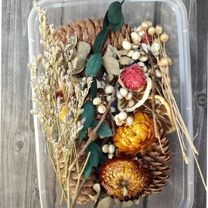Natuurlijke droogbloemen set met dennenappels en eucalyptus in een transparante opbergdoos
