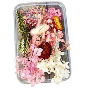 Gedroogde bloemen doos voor DIY kerstkransen met hydrangea en schijfjes citroen