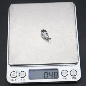 Λήψη macro ασημένιου μενταγιόν κοχύλι βάρους 0,48g σε ψηφιακή ζυγαριά ακριβείας