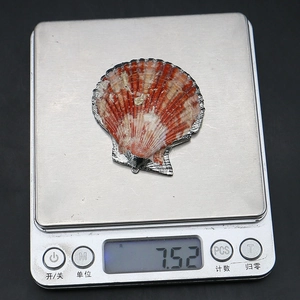 Détail d'un pendentif en coquille naturelle orange bordé d'argent sur une balance