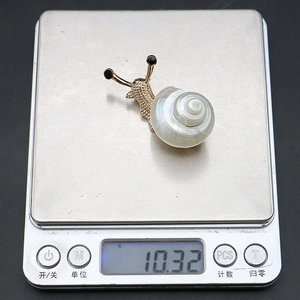 Macro shot of snail brooch weight showing shell texture and gold plating detail