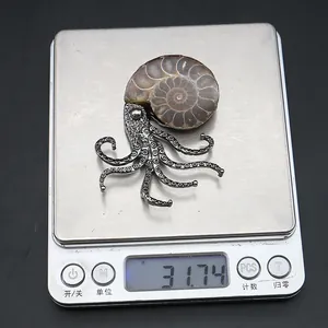 Octopus ammonite fossil pendant on digital scale weighing 31.74g for jewelry DIY