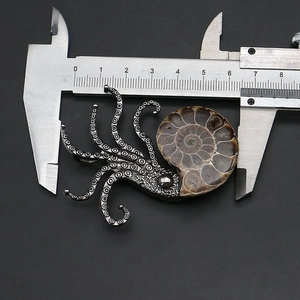 Macro view of octopus ammonite fossil brooch measured by caliper showing 6.5 cm width