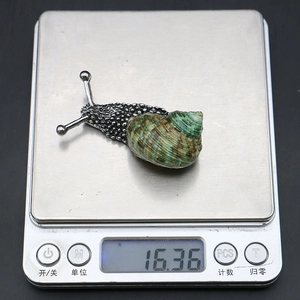 Macro detail of snail pendant showing silver metal body and natural green shell weight