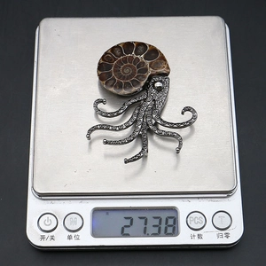 Macro shot of a fossilized ammonite octopus brooch on a scale showing 27.38 grams