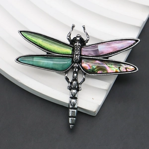 Detail of vintage silver dragonfly brooch with iridescent abalone shell wing inlays