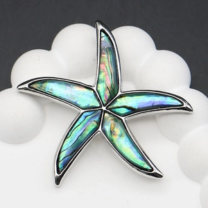 Macro view of abalone shell starfish brooch with iridescent blue and green shimmers