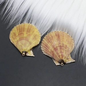 Macro di due ciondoli a conchiglia sfumata con bordi placcati in oro su sfondo nero