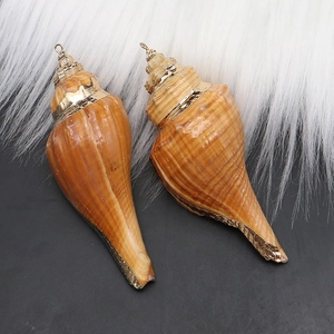 Close-up of natural striped conch shell pendants with golden electroplated edges for jewelry