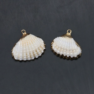 Vue détaillée de deux pendentifs en coquille naturelle blanche avec bordure dorée