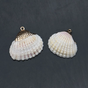 Détails macro de pendentifs en coquillage naturel avec bords dorés galvanisés