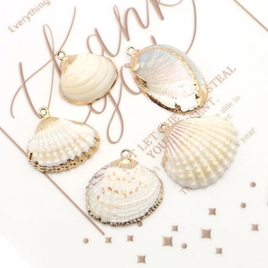 Cinq breloques en coquillages naturels bordées d'or pour bijoux DIY et décoration