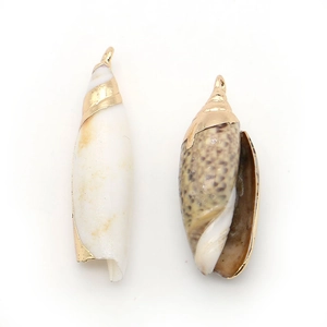 Natural sea shell pendants with gold plated caps and hanging loops for DIY jewelry