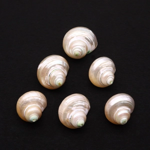 Coquillage Turbo Naturel Poli Spirale Nacrée Pour Fabrication Bijoux DIY Pendentif Aquarium Décoration Maison