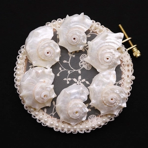 Natural conch shell decorative set with pearl luster on a lace embroidery frame