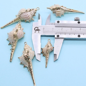 Macro detail van natuurlijke schelphanger met vergulde rand voor het maken van sieraden