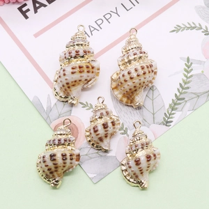 Five natural seashell pendants with gold plated edges and loops for jewelry making