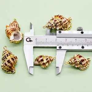 Detail view of natural conch pendant with gold plated edges and measurement scale
