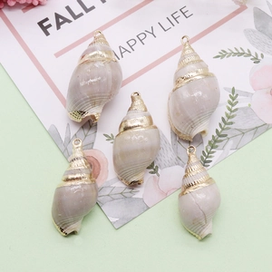 Cinq pendentifs en coquillage naturel avec bordure dorée et anneaux pour bijoux DIY