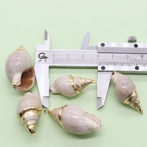 Vue détaillée d'un pendentif en coquillage naturel de 2,5 cm doré avec mesure au pied