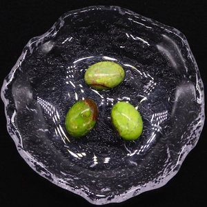 Primer plano de tres piedras turquesas ovaladas con vetas marrones naturales en un bol de vidrio