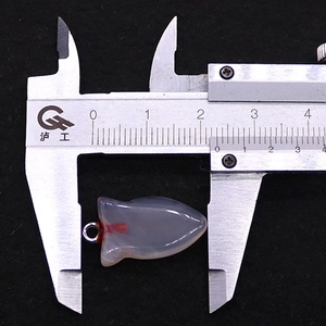 Gedetailleerde meting van de visvormige agaat hanger met een zilveren metalen oog