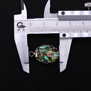 Detailansicht eines Abalone-Muschel-Anhängers mit Goldrand, Maße ca. 23x15mm