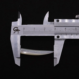 Makroansicht einer 2,8cm polierten weißen Hornperle gemessen mit einem Messschieber