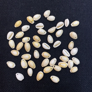 Macro detail of pre-drilled natural cowrie shells with yellow stripes for DIY jewelry