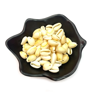 Natural white cowrie shell beads with pre-drilled holes for DIY jewelry making