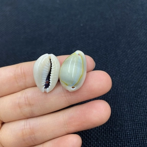 Natürliche weiße Muschelperlen mit Doppelloch-Design für DIY-Halsketten