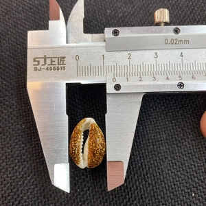 Macro shot measuring a gold glitter cowrie shell bead size with a digital caliper