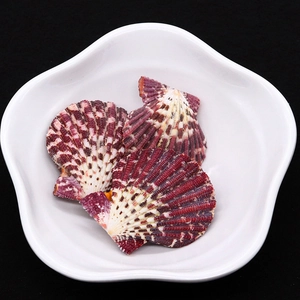 Three natural purple and white scallop shell beads in a white bowl on black background