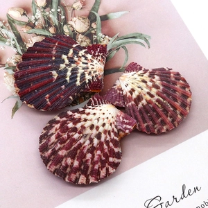 Three natural purple scallop shells with wavy edges for DIY jewelry making and home decor