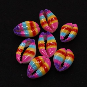 Detailed view of seven rainbow striped natural cowrie shells with high gloss finish