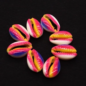 Close-up of eight rainbow gradient natural cowrie shells for DIY jewelry making