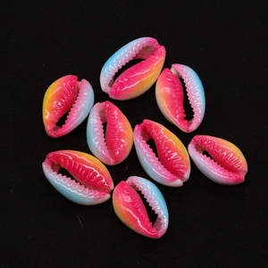 Macro view of eight gradient rainbow natural cowrie shells for DIY jewelry making
