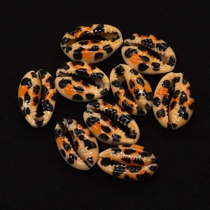 Detailed close-up of nine leopard print natural cowrie shells on a black background