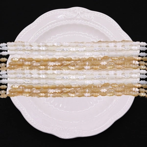 Natural sea shell trochus shell loose beads for DIY jewelry necklace accessories
