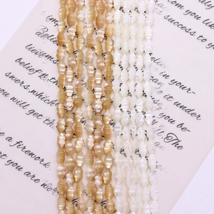 Natural sea shell 5x8mm trochus beads in white and gold for DIY jewelry making