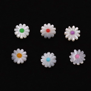 Set mit 6 natürlichen Perlmuttschalen Gänseblümchenperlen mit bunten Blütenmitten