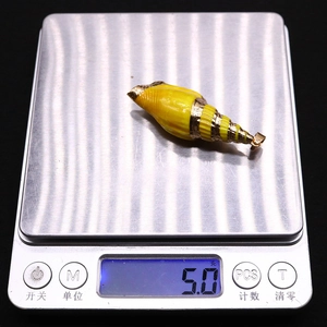 Detailed view of yellow conch shell pendant on a digital scale weighing 5.0 grams