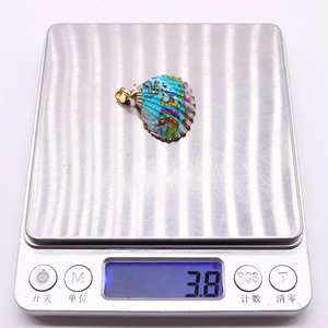 Détail macro d'un pendentif coquillage en émail coloré avec placage d'or sur balance