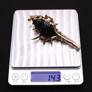 Detalle del colgante de concha estilo océano en una báscula con un peso de 14,3 g